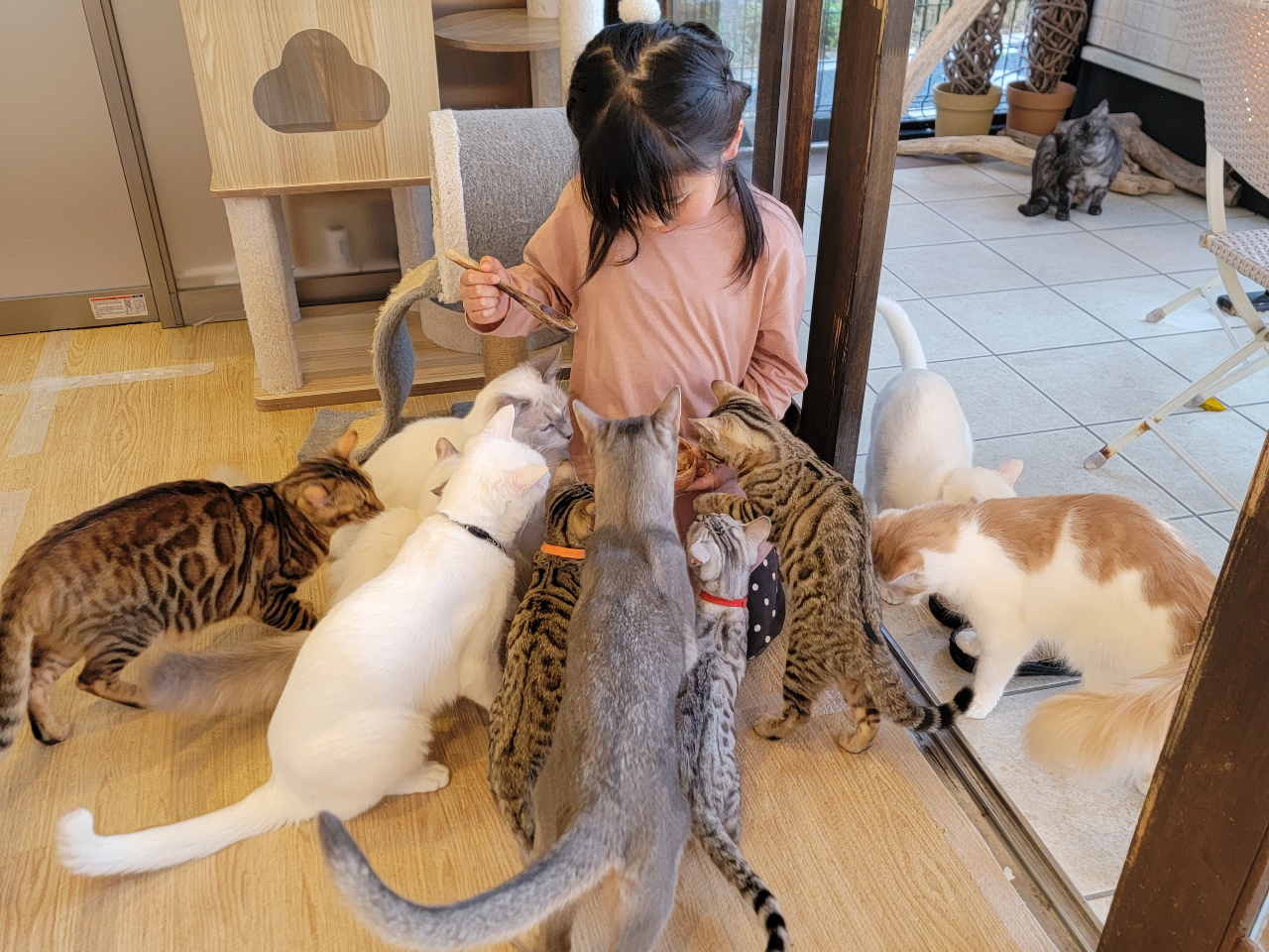 【店内】おやつが大好き、みんな大集合