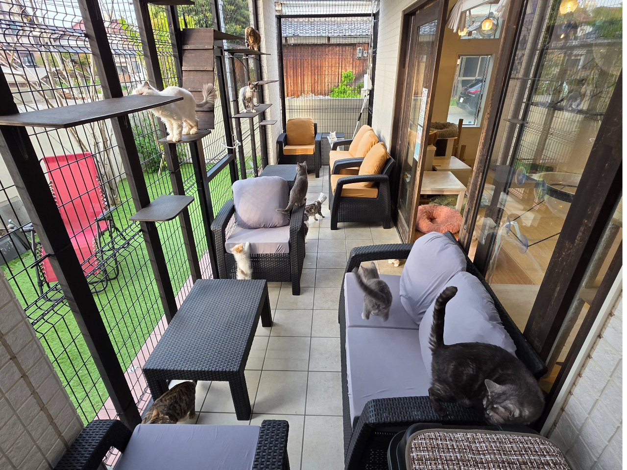 【テラス席】気温や天候の状況により利用できない場合あり