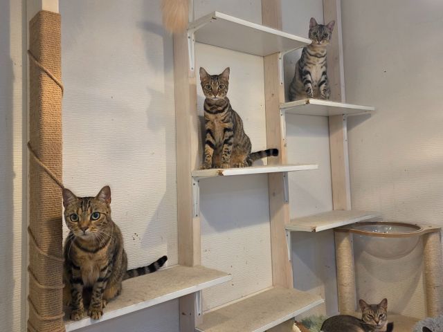 当店で産まれ育った3姉妹