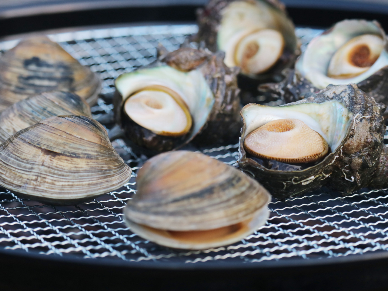 生簀には活きたサザエ、ハマグリ、アワビ、伊勢えびもいます!