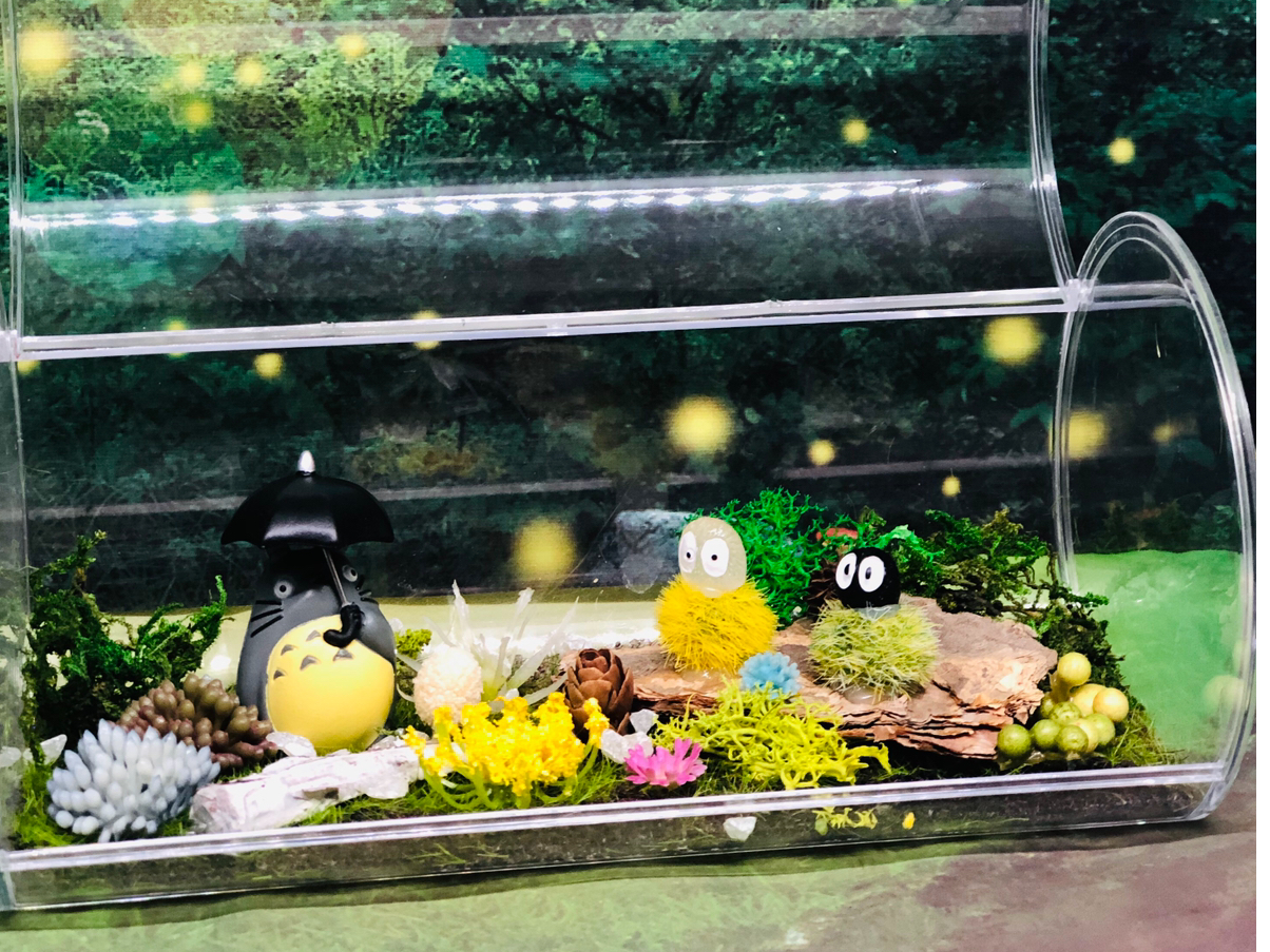 ワクワク箱庭BOX