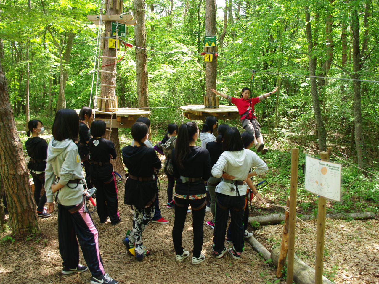 SuKœ̎g⊊K̂ŏS҂̕ɂS