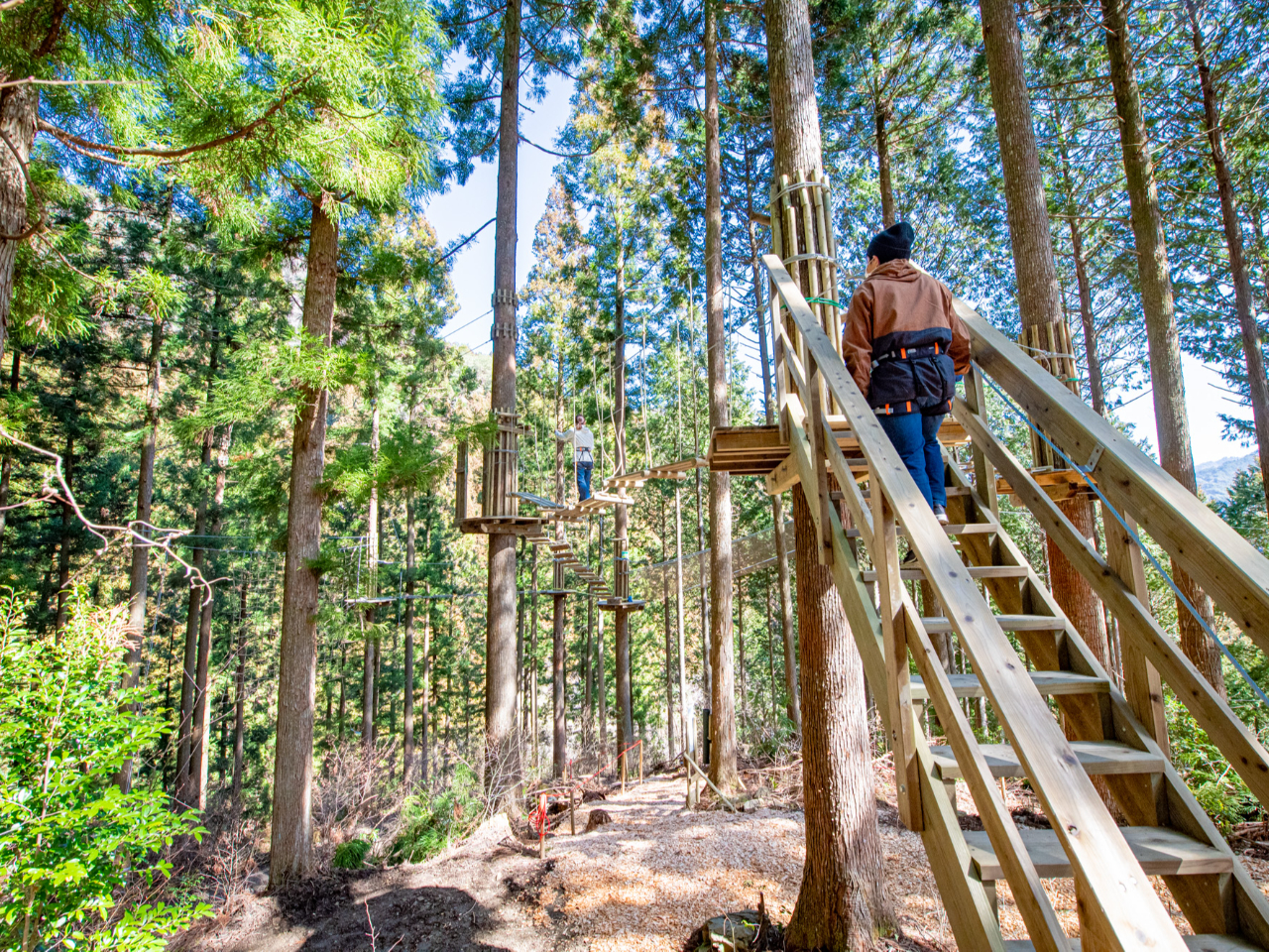 森林浴しながら、深呼吸・・・。心地よい森でリラックス&アドベンチャー!