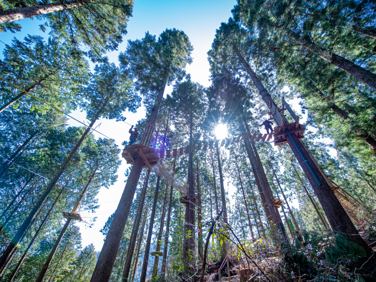 地上から約10m程度の高さを空中移動して、滑り始めるスタート地点へ行きます♪