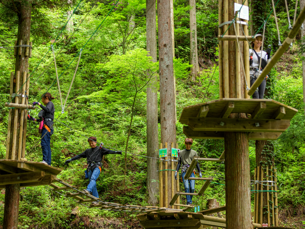 アドベンチャーコースとキャノピーコースが並走している箇所がいくつかあります。