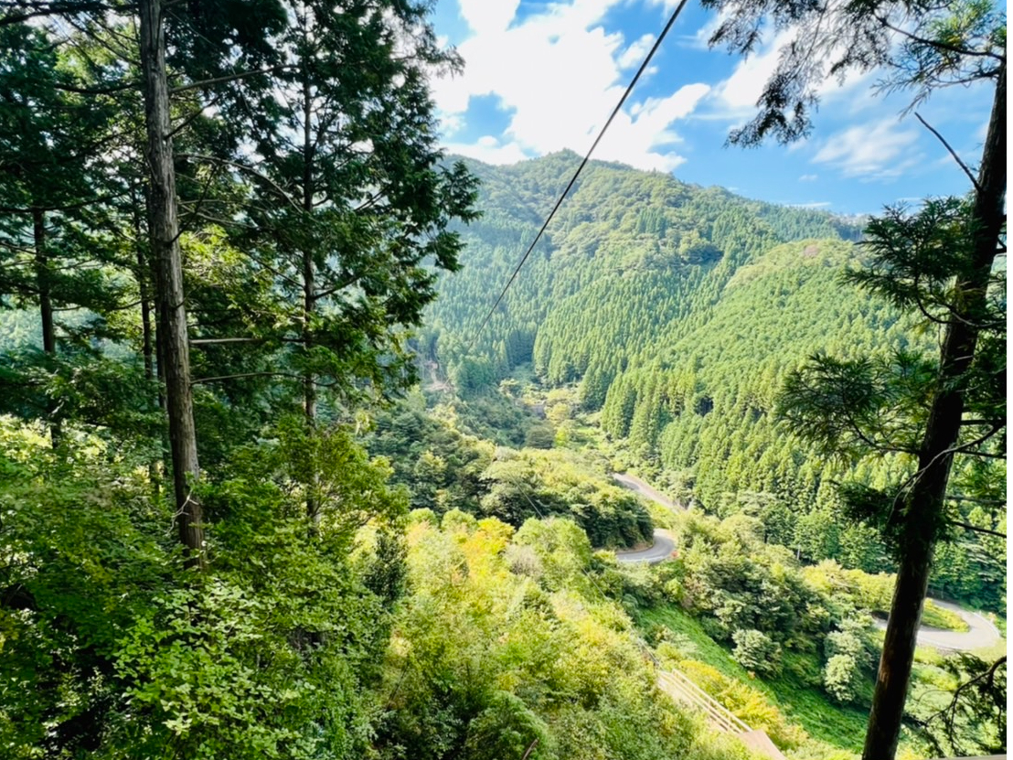 目玉のアクティビティの一つ、ロングジップスライド往復はダイナミックな絶景がたのしめます。