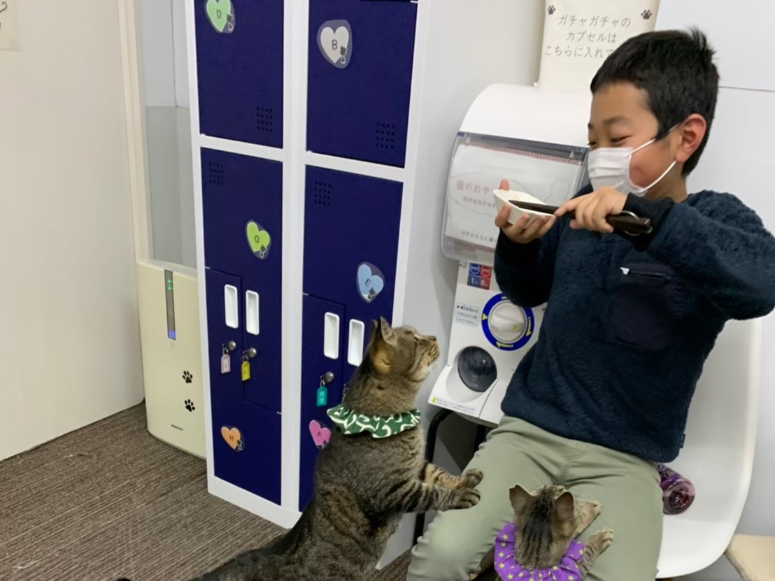 大阪 高槻 猫カフェ 高槻市駅より徒歩1分 お子様から大人気 写真撮影ok ドリンク飲み放題 保護猫カフェ で遊ぼう 女性やカップル ファミリーにもおすすめ 譲渡型保護猫カフェcatclubcherish じゃらん遊び体験