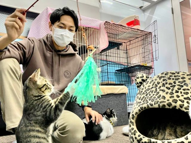 大阪 高槻 猫カフェ 高槻市駅より徒歩1分 お子様から大人気 写真撮影ok ドリンク飲み放題 保護猫カフェ で遊ぼう 女性やカップル ファミリーにもおすすめ 譲渡型保護猫カフェcatclubcherish じゃらん遊び体験 大阪 高槻 猫カフェ 高槻市駅より徒歩1分 お子様から大人気 写真撮影ok ドリンク飲み放題 保護猫カフェ で遊ぼう 女性やカップル ファミリーにもおすすめ 譲渡型保護猫カフェcatclubcherish じゃらん遊び体験