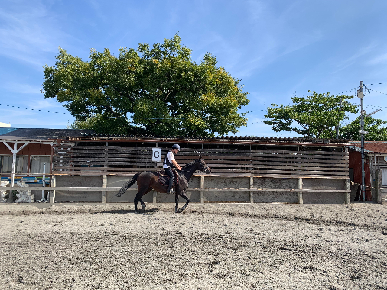 乗馬クラブスリーフィールド】≪初心者限定≫東京から一番近い好立地