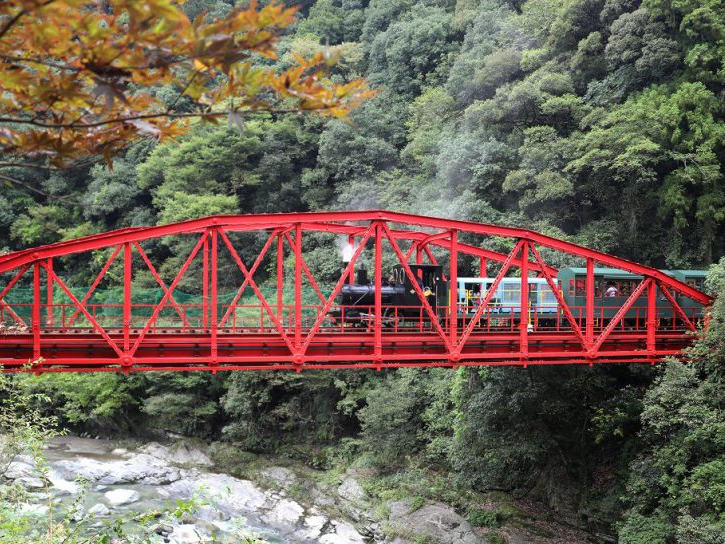 10kmł葖zRόԁBԎԂ͖5Bu[o詓(gl)vuŏ(悯)Svʂ܂B