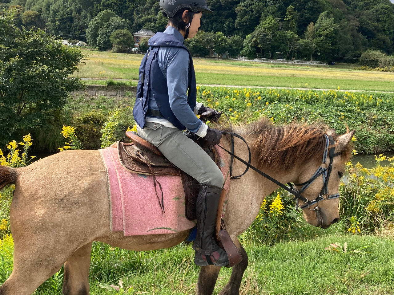 yPONY PLUSzSʂ킹ď܂