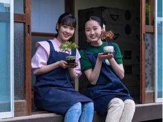 盆栽苗を、素材状態から手入れをして、お気に入りの鉢に植え替えて、盆栽を2時間半程度で完成することができます。創って&育てて愉しい盆栽ライフの始まりです。