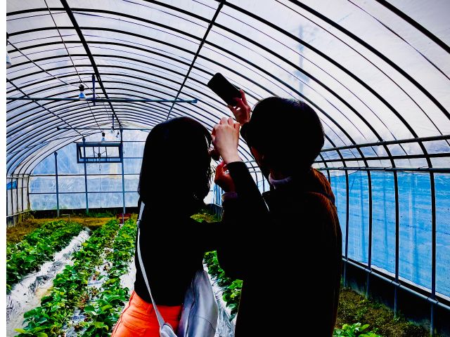 貸切なのでゆっくり写真撮影も楽しめます。