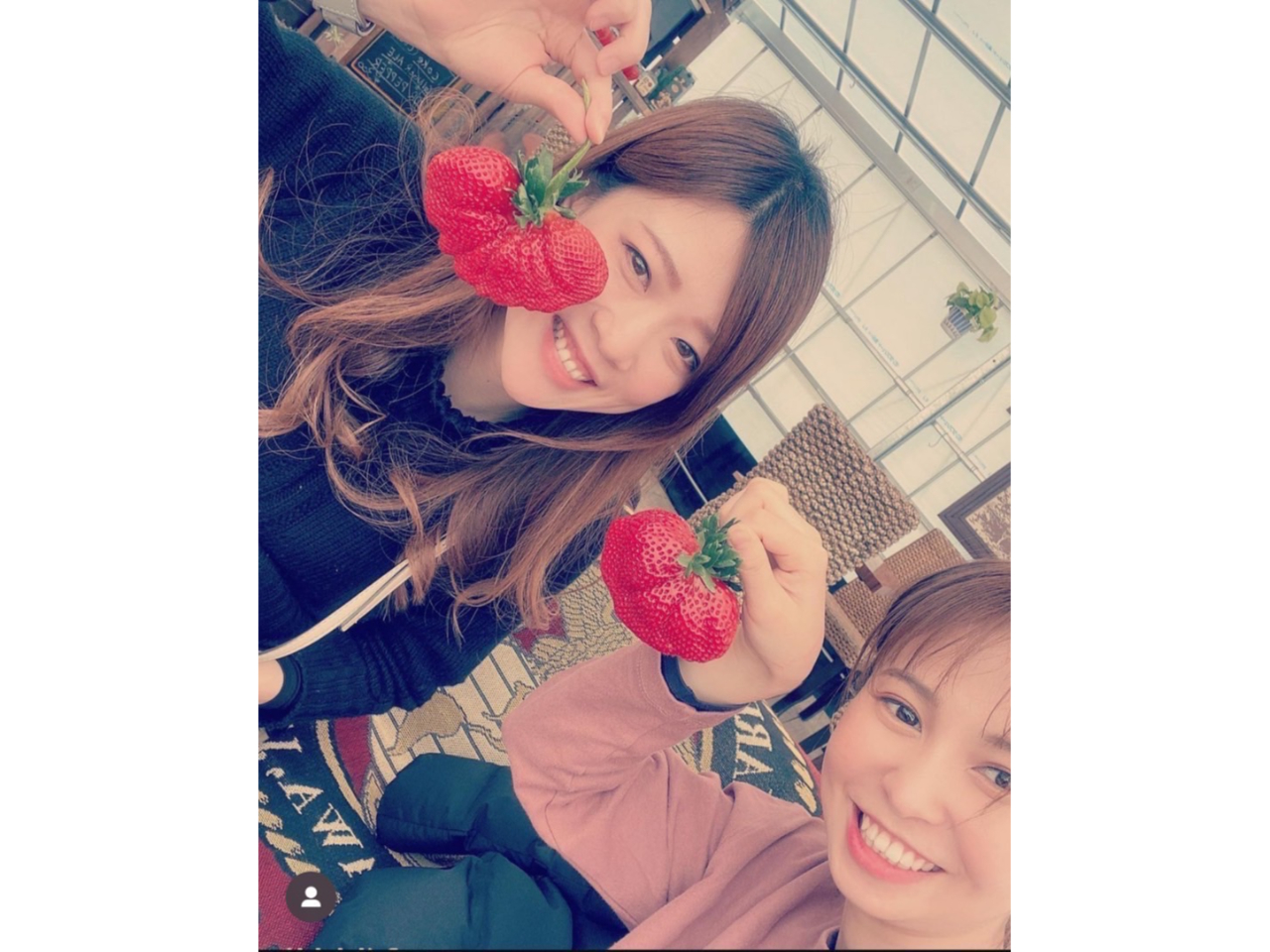 【1日1組限定!プレミアムいちご狩りプラン】驚愕の大きさ!!極上の甘さ!! おお...