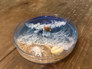 ビーチをシャーレに閉じ込めました。あなただけのプライベートビーチを作りましょう!