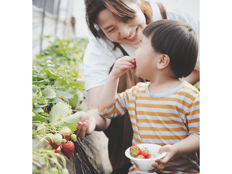 Nz̕ɂq܂ɂy݂悤Hv{Ă܂B