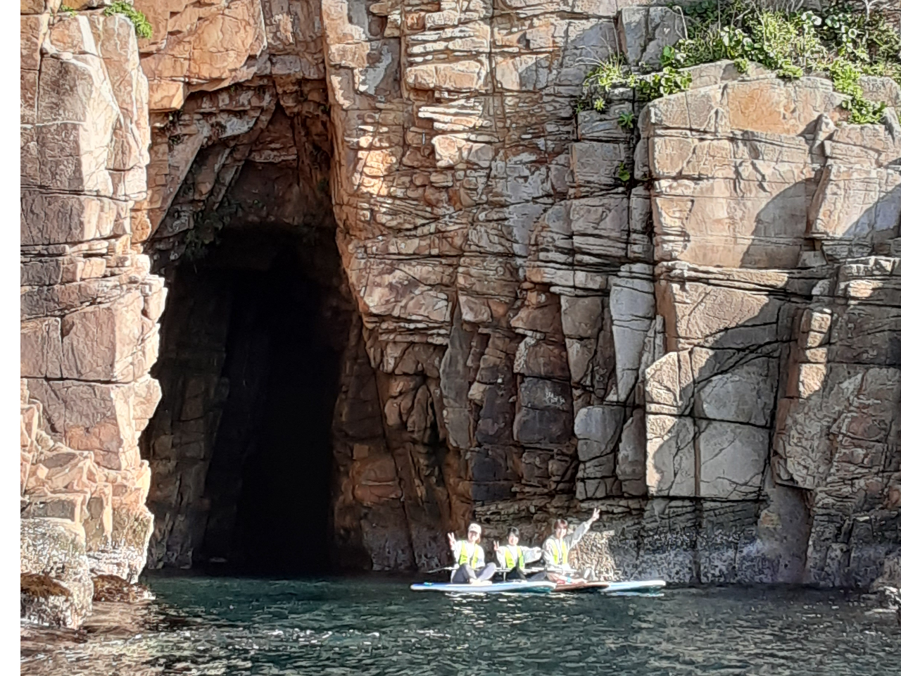 sȑ厩R̃GlM[REABZHŔgȂ̂ŁA{[hRg[Ɨ͋͂KvȃR[XłB