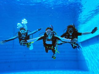 プールでダイビングの一歩目を歩みましょう!