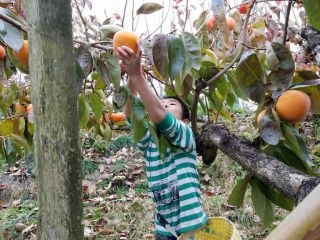 お子様もワクワクです!