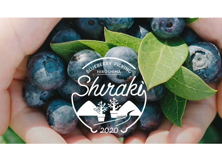 �u���[�x���[���L�����؂̎ʐ^2