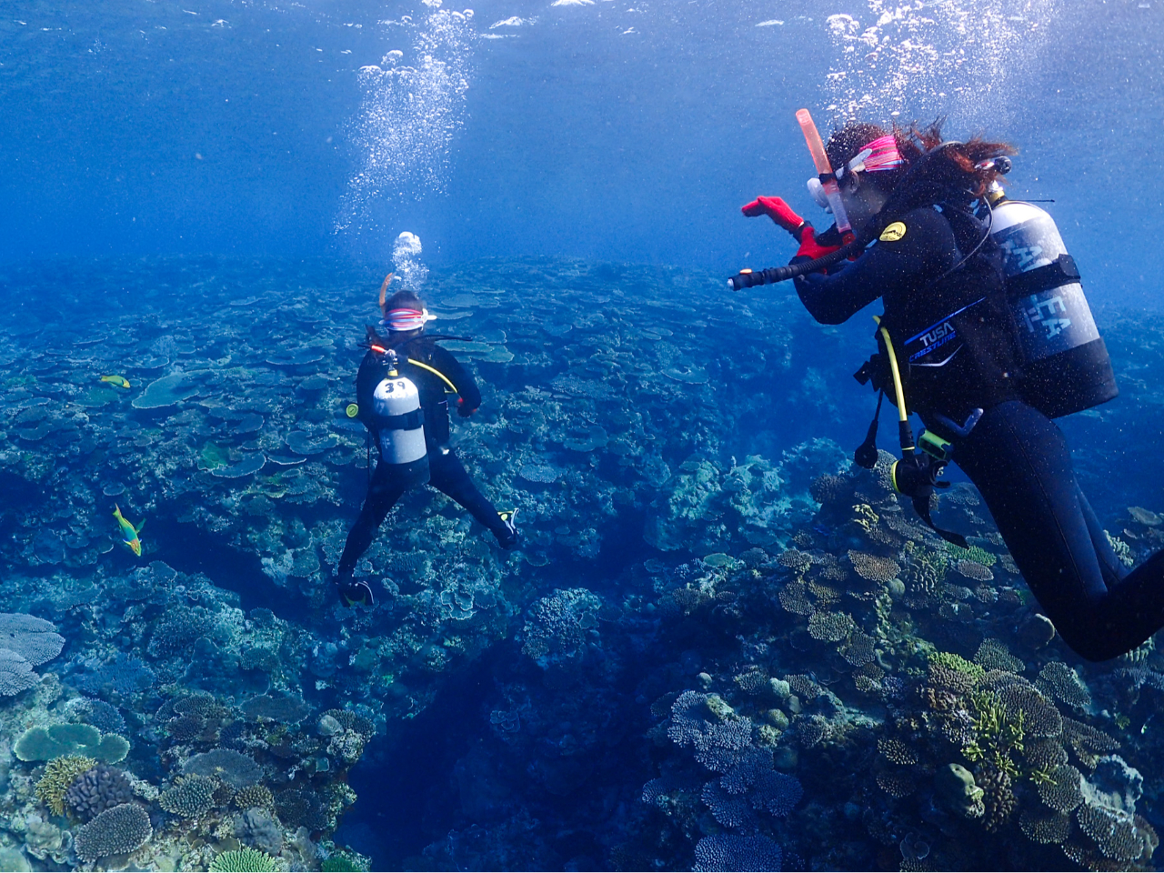 {[gōs_Ci~bNȃ_CrO|Cgւē