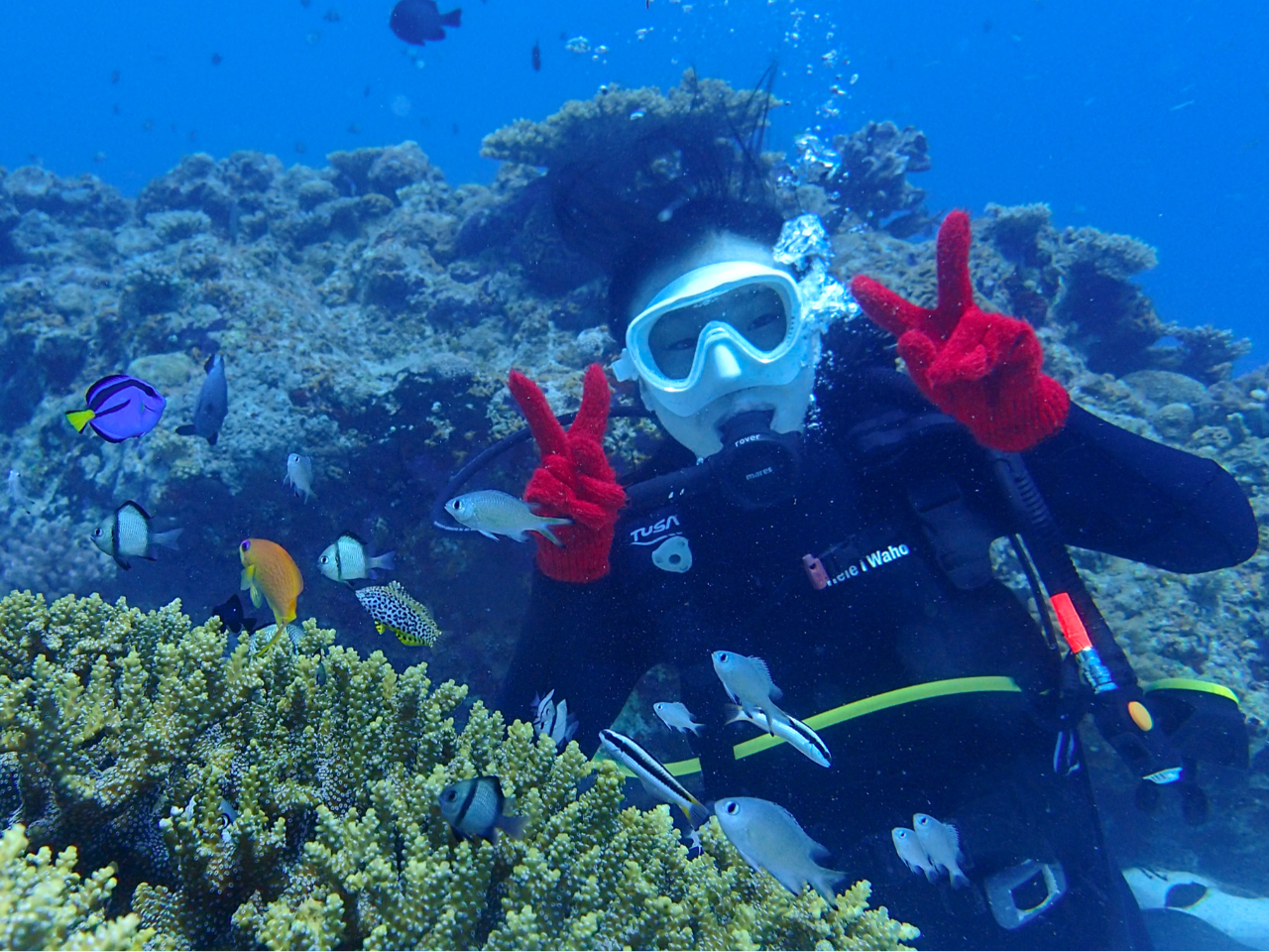 voɂȂ鐅ʐ^͂Băv[g