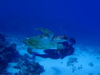 カメポイントではカメを探しに行きます♪