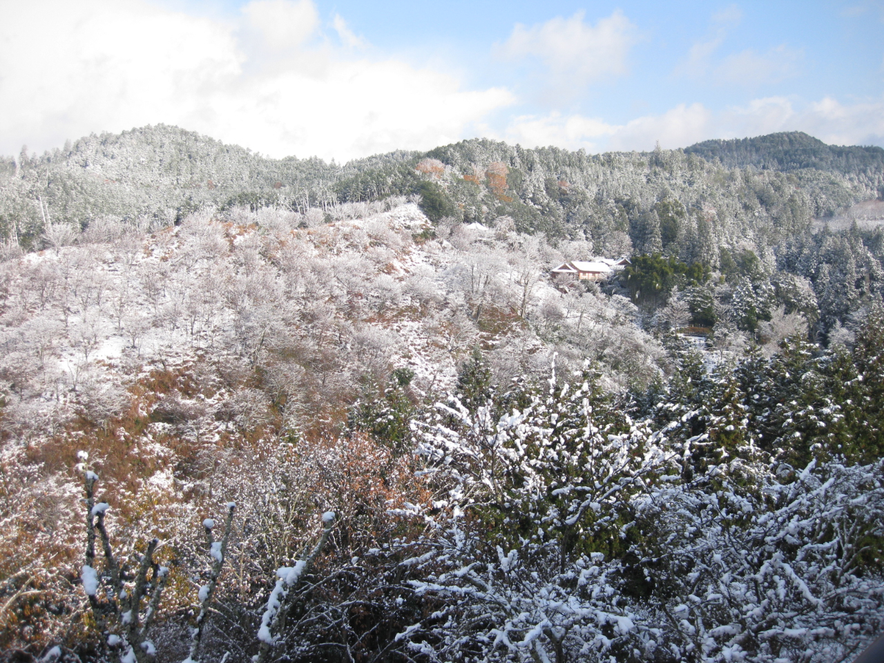 じゃらん　坂本屋