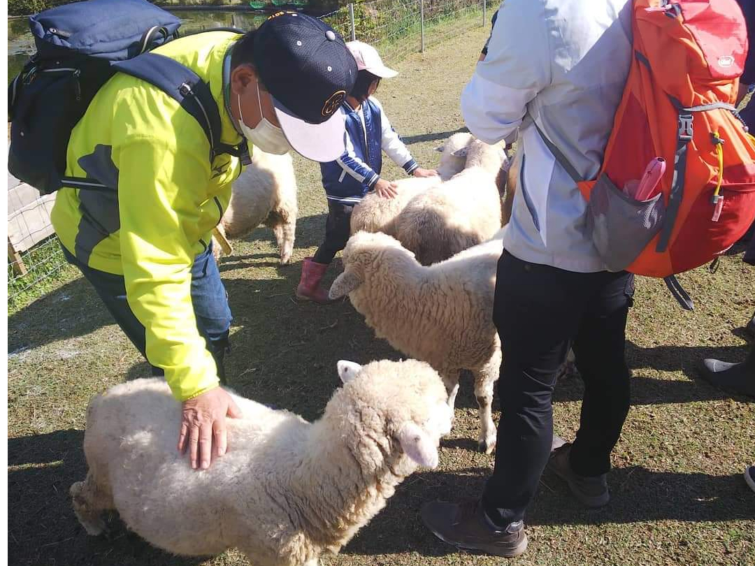 平日プラン※】＼＊1組限定！！＊／ひつじさんとのふれあい体験♪餌を