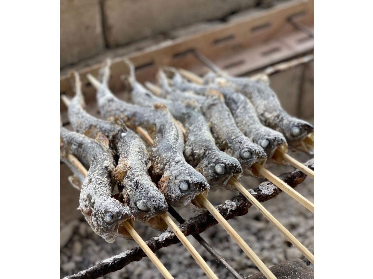 Y΂ŉĂI̓JbƁAg͂ӂӂɏĂグ܂BЂܖB