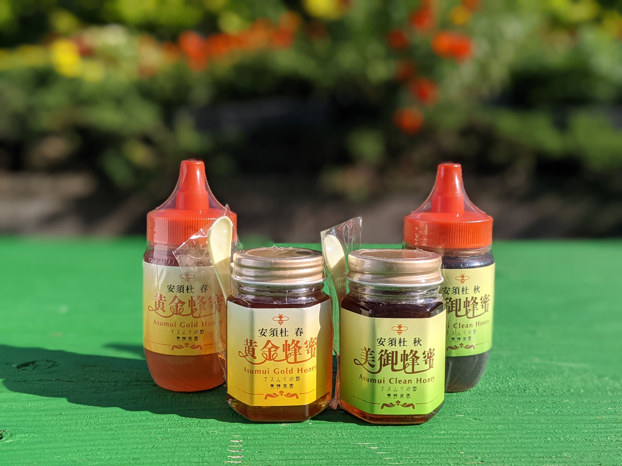 やんばる】【みつばち体験】ミツバチについて楽しく学ぼう！/アスムイ