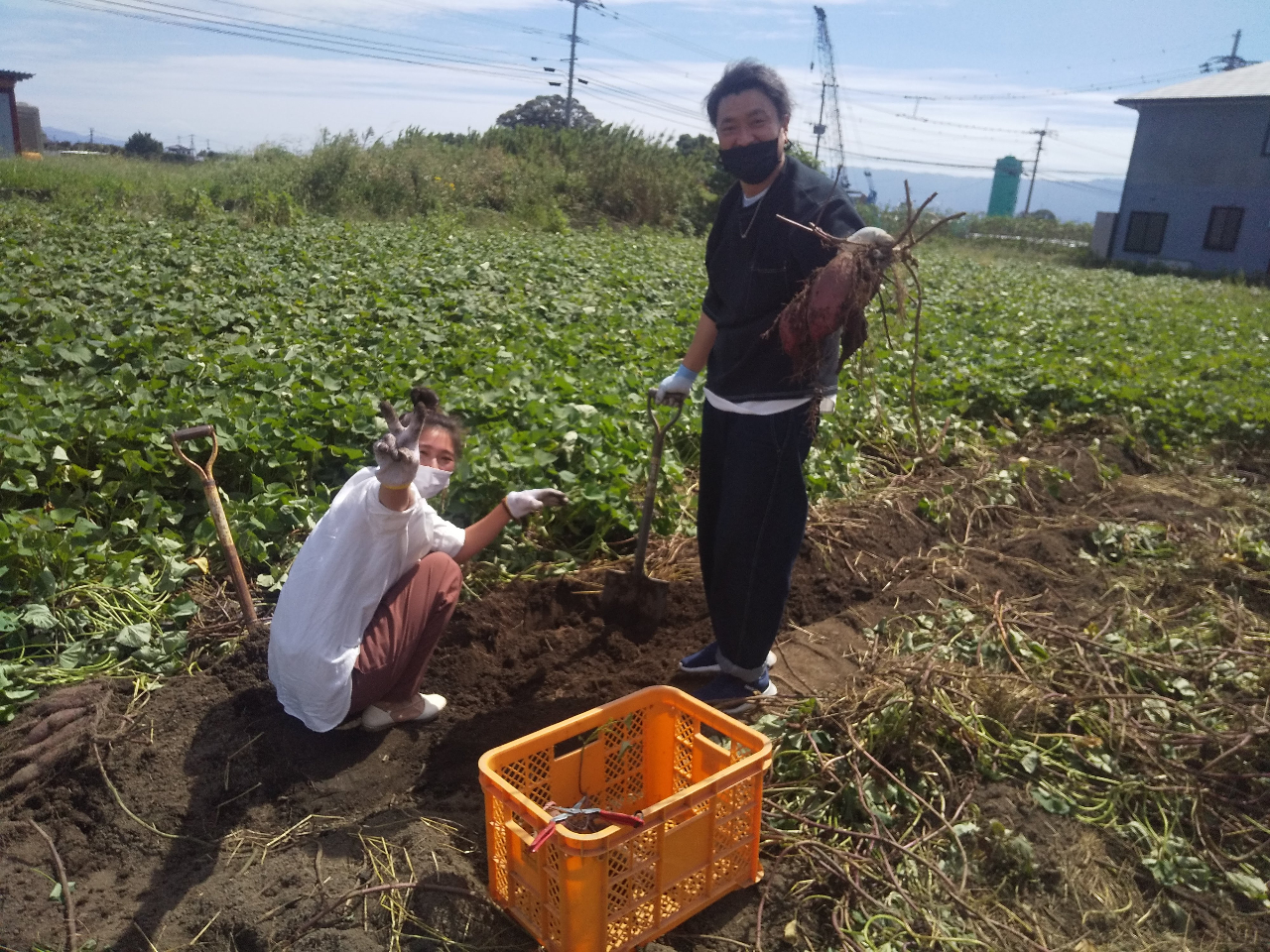 �J�b�v���̃h���C�u�f�[�g��1�R�}�ɂ��E�E�E�������ȁH�I