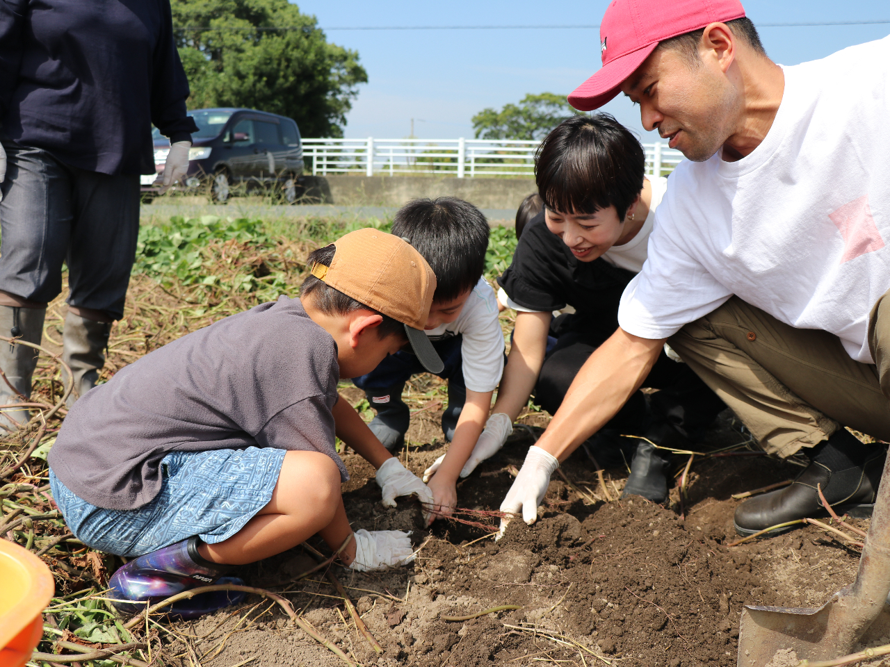 Ƒ݂ȂłقIقII@󔭌II