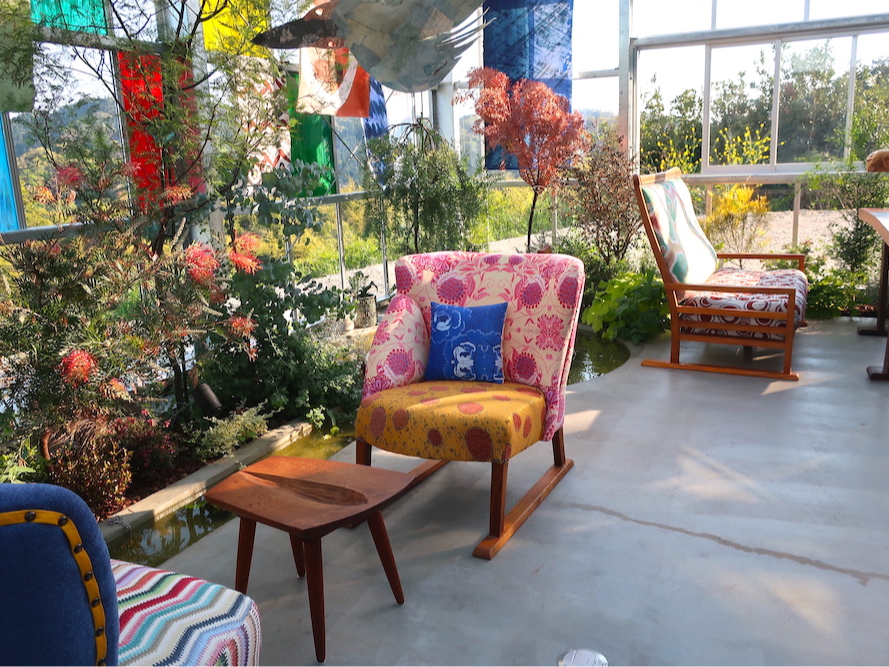 店内にも沢山植物があります。ここでもついゆっくりしてしまいます。