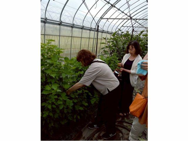 \どれにしようか迷っちゃう…/