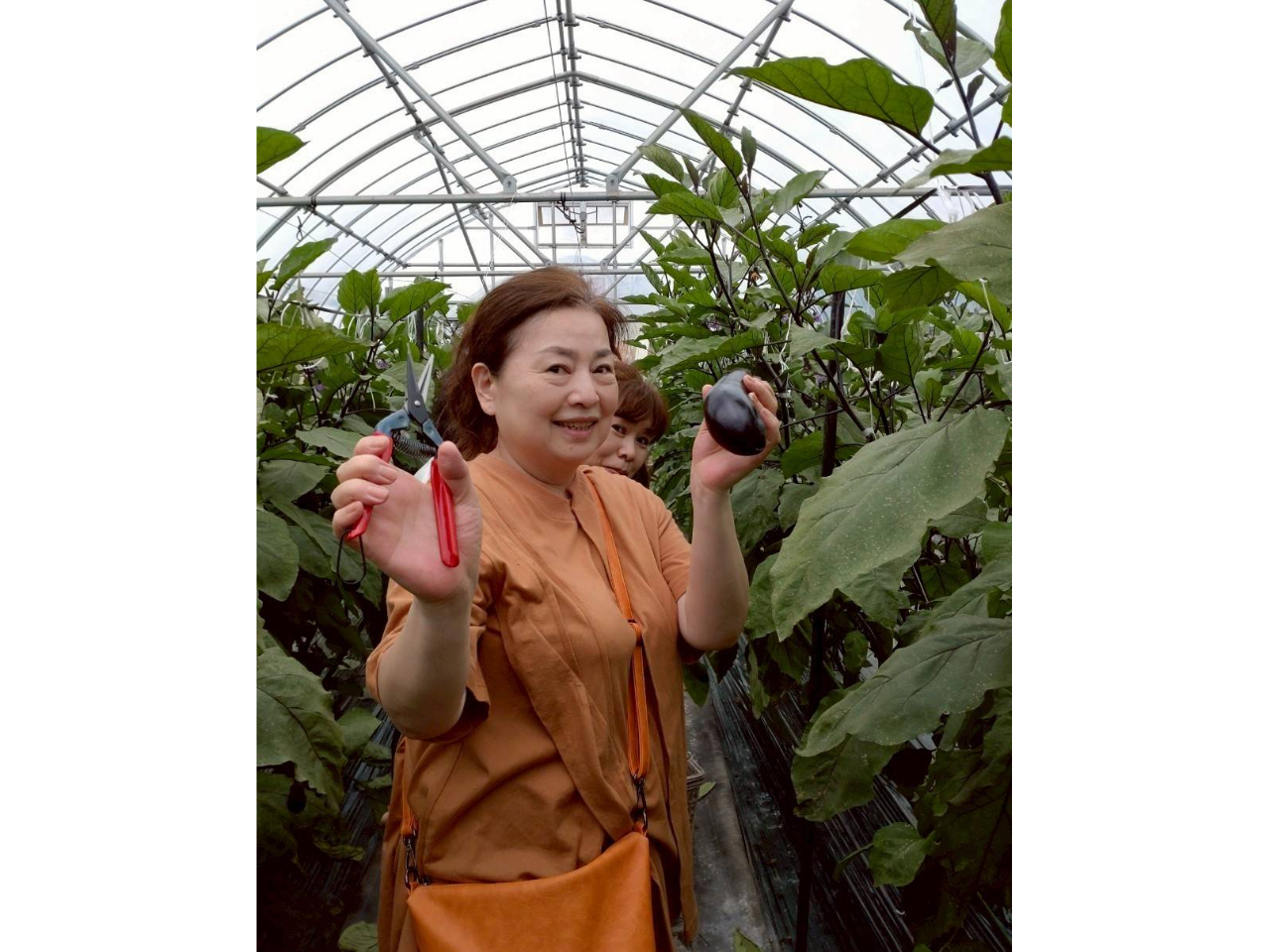 一組限定の収穫体験はゆったり楽しめます!