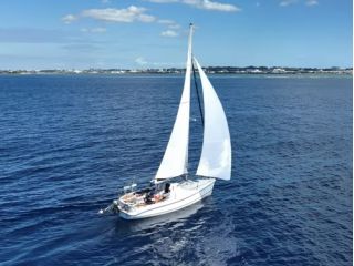 セーリングエリアは沖縄の海。もちろん綺麗です。