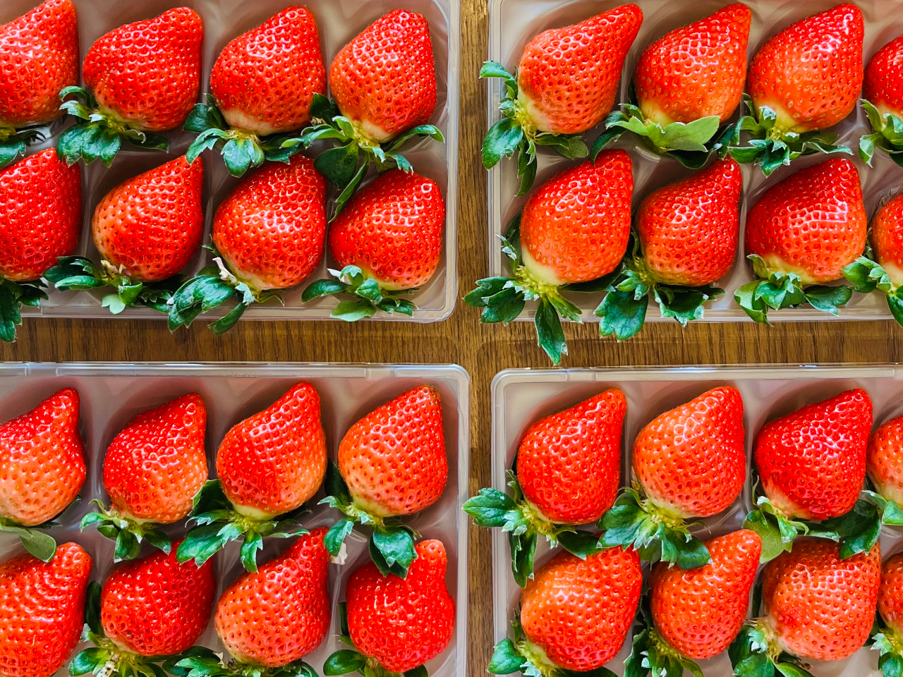 柳川/40分食べ放題】あまおうなど最大5種類の食べ比べを楽しめる