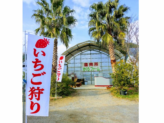 農園の入口・受付は南国の雰囲気