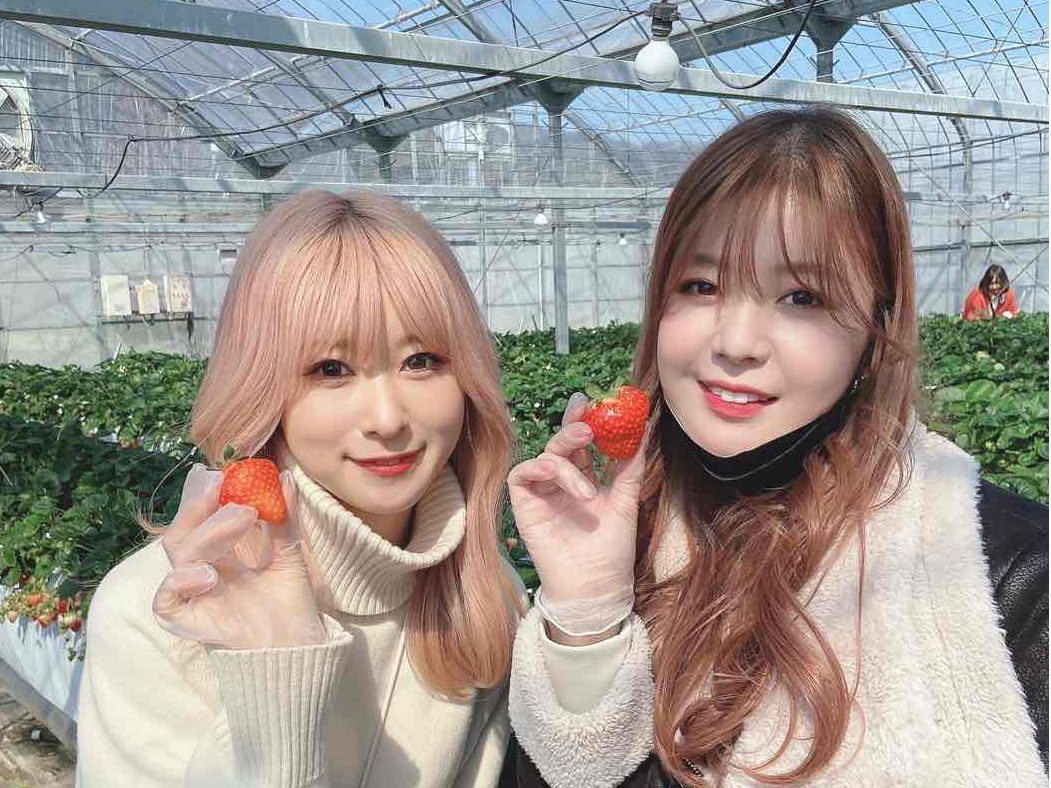 䕂͐ĤׂAʐ^ꏏɎB̂lCACeI