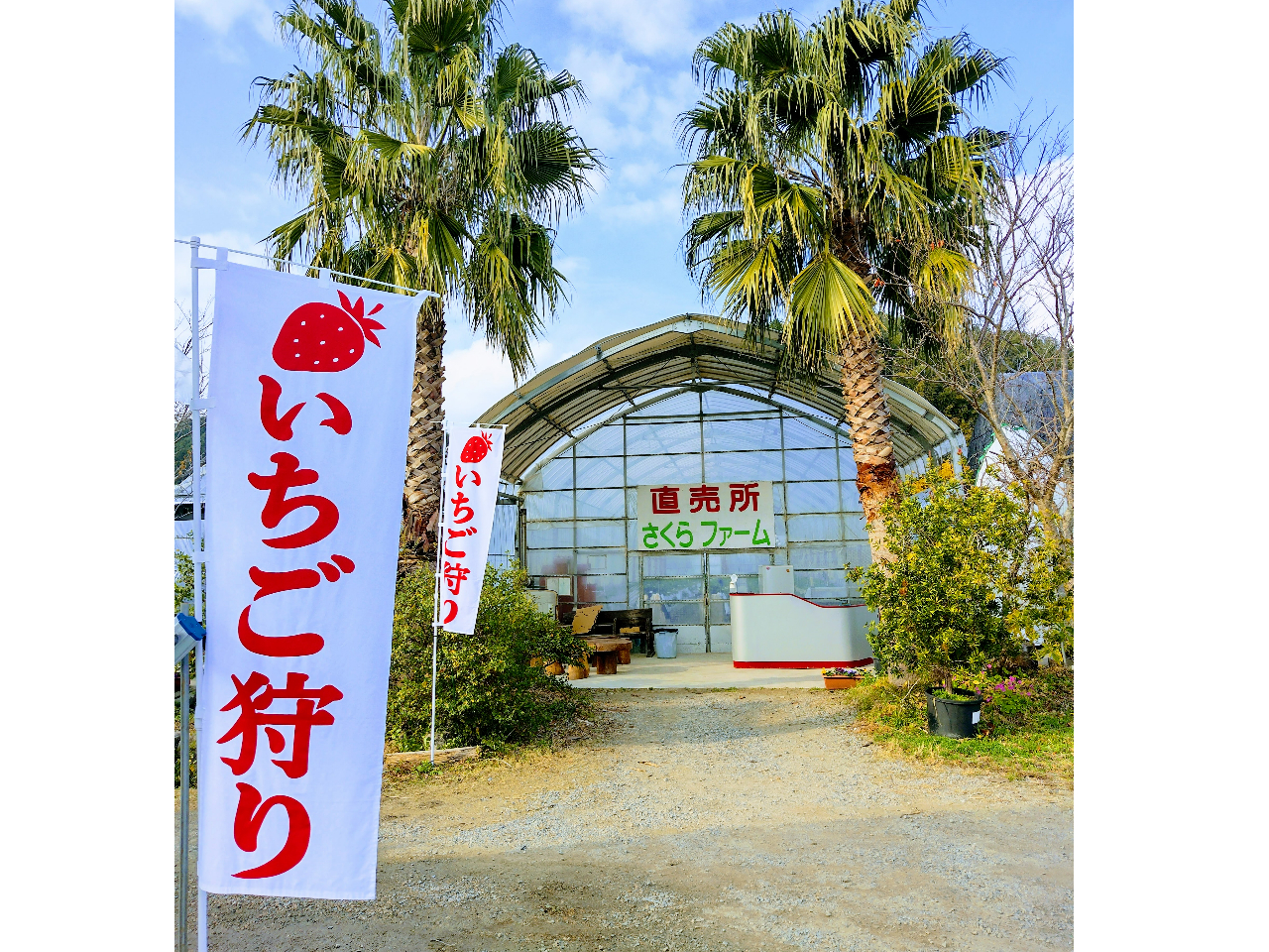 農園の入口・受付は南国の雰囲気