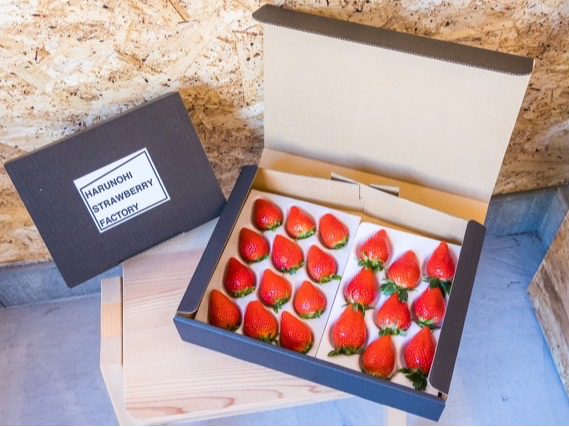 A②蕨ɁAC`S̔̔pӂĂ܂(^^)