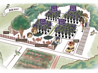 自然に囲まれた小高い丘の上にあるブルーベリー摘み取り農園です
