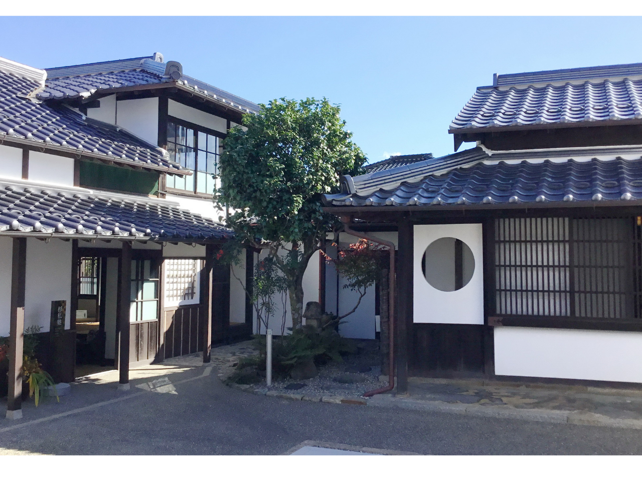 ɎumWujՏ\vƋgcǍZmJƂumvł܂B