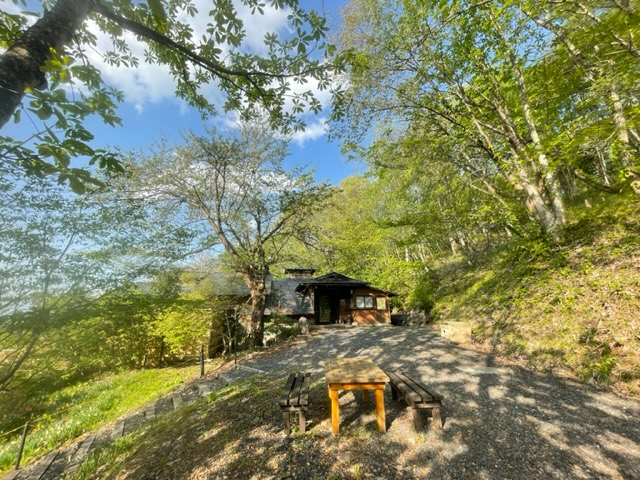 �ʓ��@�I�V���C�@�S�i