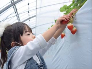 小さなお子様も安心♪