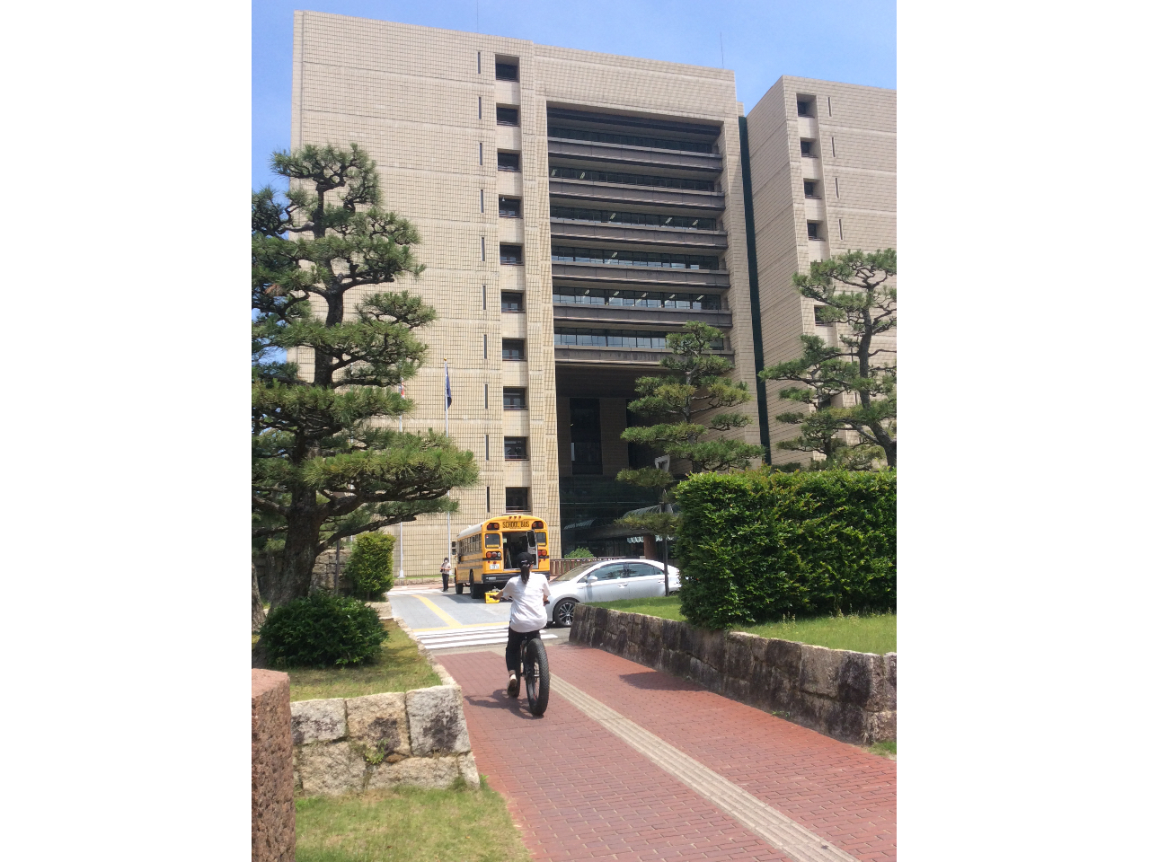 S3ӏȂ{یIXN[oX̃Lb`J[́AŋߘbłB