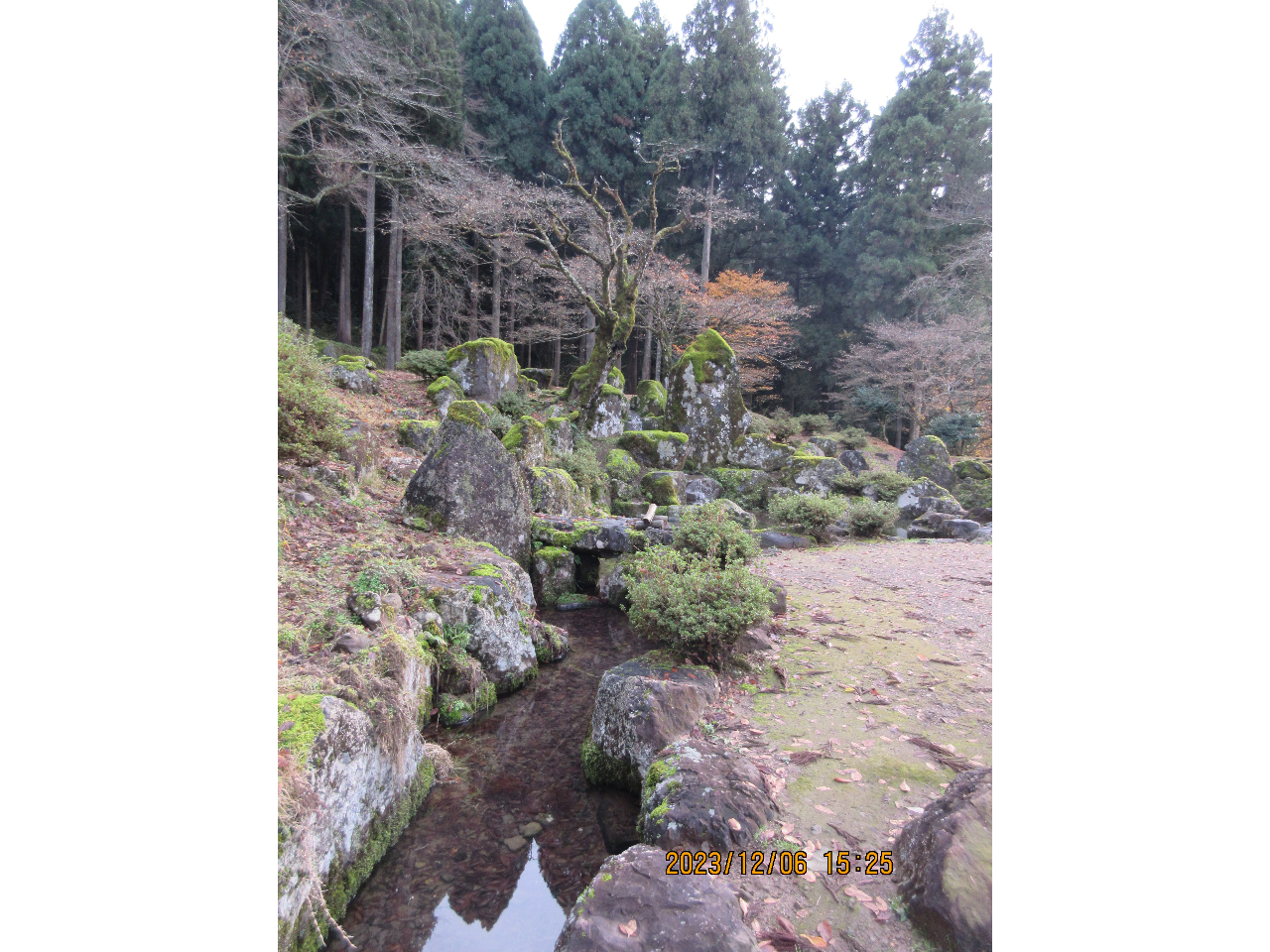 zKِՒ뉀́Äʒu炪xXgȋC܂B