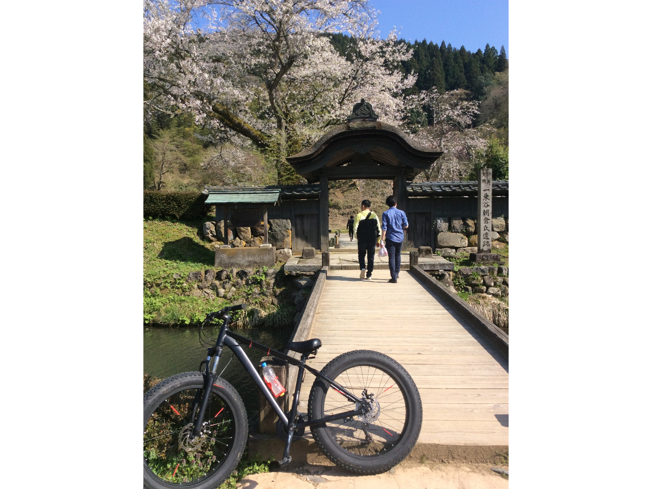 퍑鉺ŗBAʎjՂɎw肳Ă܂BBeF2023N41B