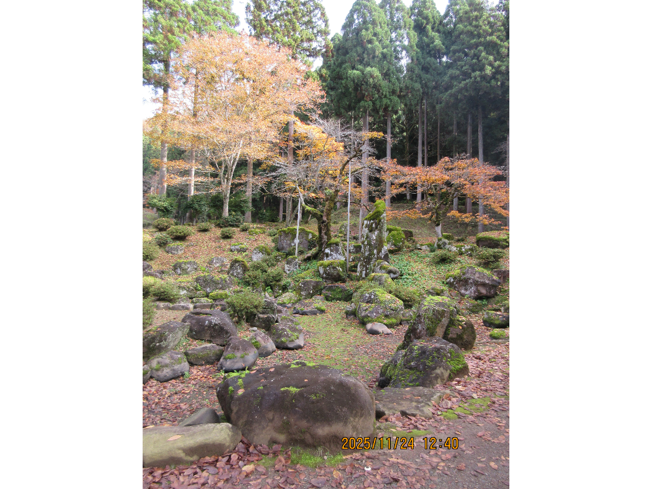 O啐ƒ뉀̈ɐzKِՒ뉀B